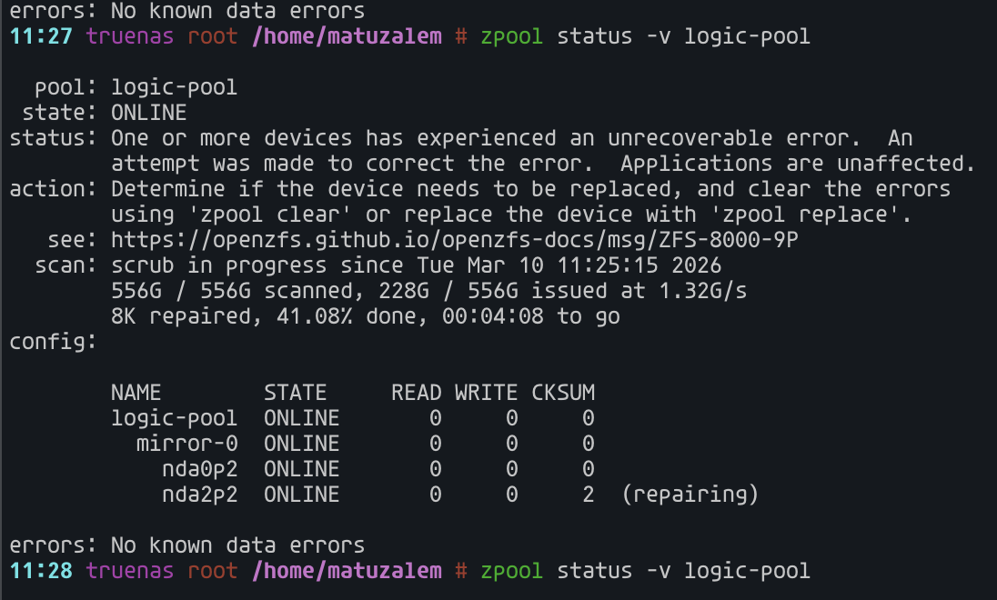 Pool back online after the missing mirror member reappeared, with the checksum error still present